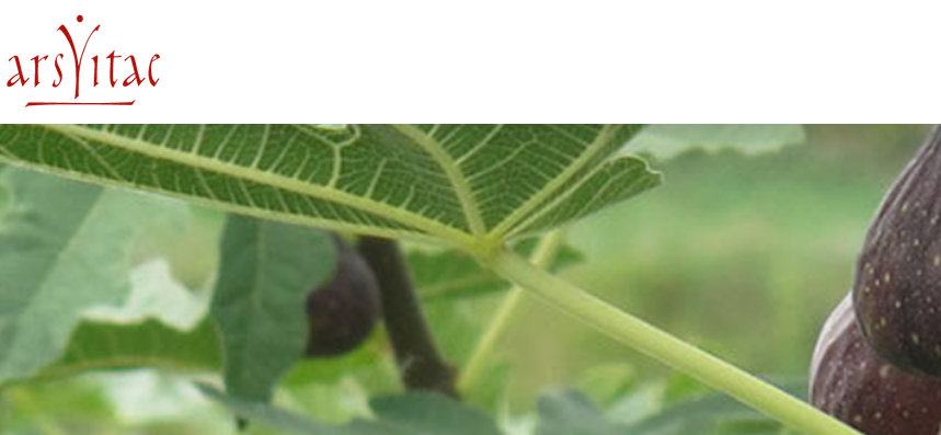 Ars Vitae Meditationen